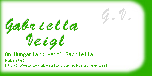 gabriella veigl business card